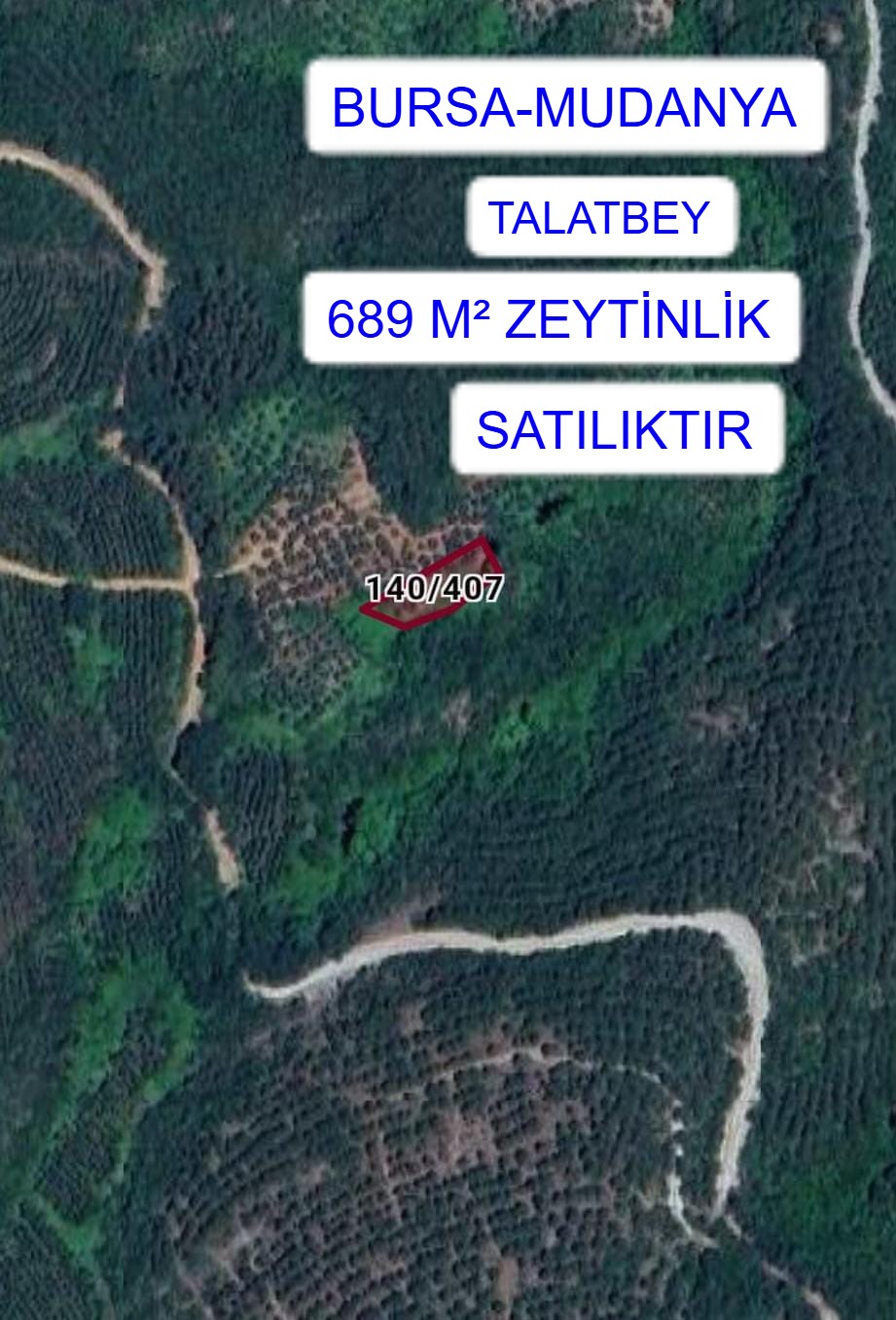 BURSA MUDANYA TALATBEY KÖYÜ 689M² ZEYTİNLİK SATILIK - BURSA MUDANYA fotoğraf 5