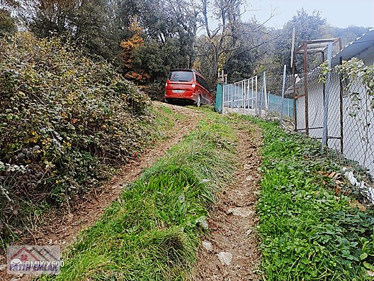 FATİH EMLAKTAN ŞAHİNYURDUNDA 956M2 SATILIK ZEYTİNLİK - BURSA GEMLİK fotoğraf 6