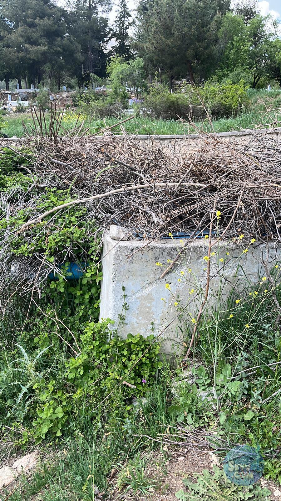 AĞLASUN YAZIR KÖYÜNDE FIRSAT ARAZİ - BURDUR AĞLASUN fotoğraf 21