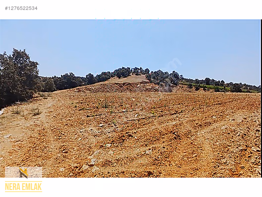 SARIGÖL YENİKÖY'DE ARAÇ TAKASLI UYGUN TEK TAPU 12.190m2 TARLA - MANİSA SARIGÖL fotoğraf 7