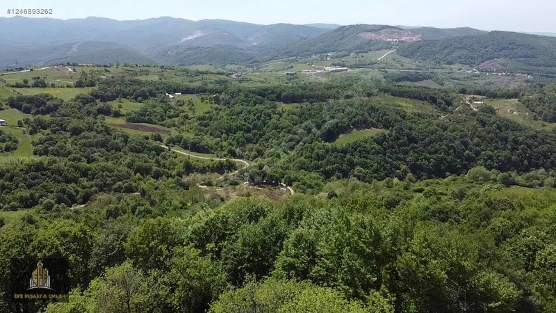 YALOVA SUGÖREN'DE DOĞAYLA İÇ İÇE SATILIK TARLA - YALOVA MERKEZ fotoğraf 2
