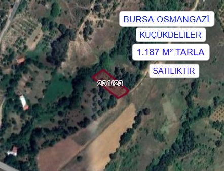 BURSA OSMANGAZİ KÜÇÜKDELİLER  KÖYÜNDE 1187M² TARLA  SATILIKTIR - BURSA OSMANGAZİ fotoğraf 6