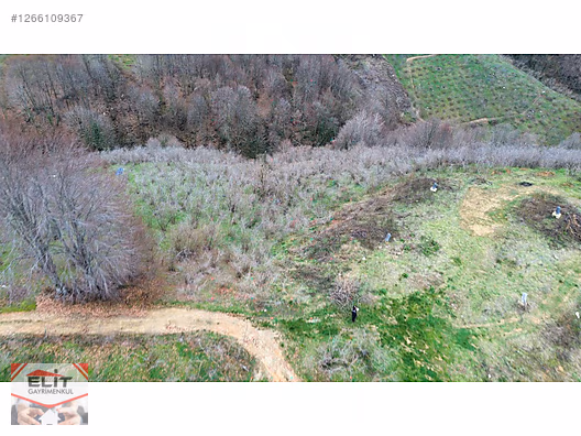 DÜZCE AKÇAKOCA DA EV YAPIMINA UYGUN SATILIK 7.768 M2 FINDIKLIK - DÜZCE AKÇAKOCA fotoğraf 36