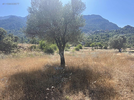 Antalya / Akseki / Erenyaka Mahallesinde  1.551 m² SATILIK ARSA  - ANTALYA AKSEKİ fotoğraf 9