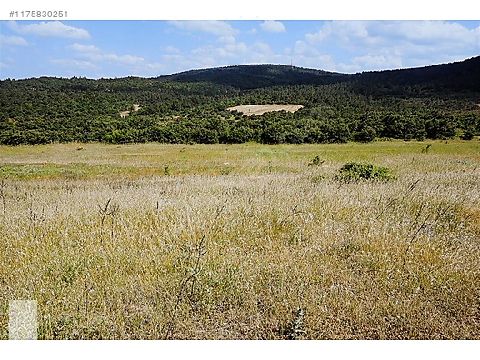 ÇANAKKALE BAYRAMİÇ MURATLAR KÖYÜ 45.000 m2 TARLA - ÇANAKKALE BAYRAMİÇ fotoğraf 18