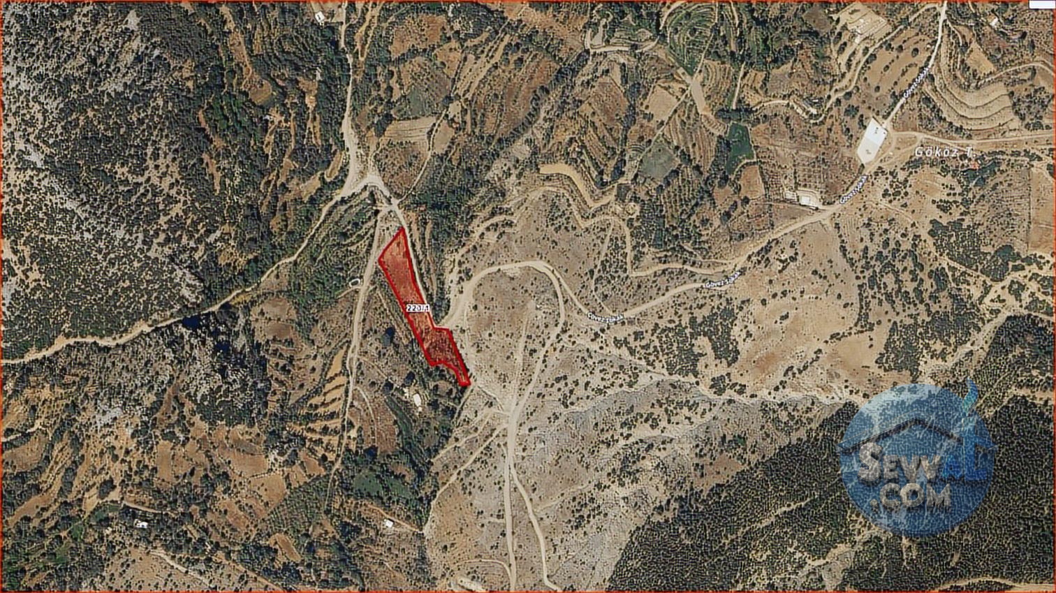 ASYA EVİM EMLAKTAN AĞLASUN YEŞİLBAŞKÖY DE SATILIK TARLA - Burdur Ağlasun fotoğraf 12
