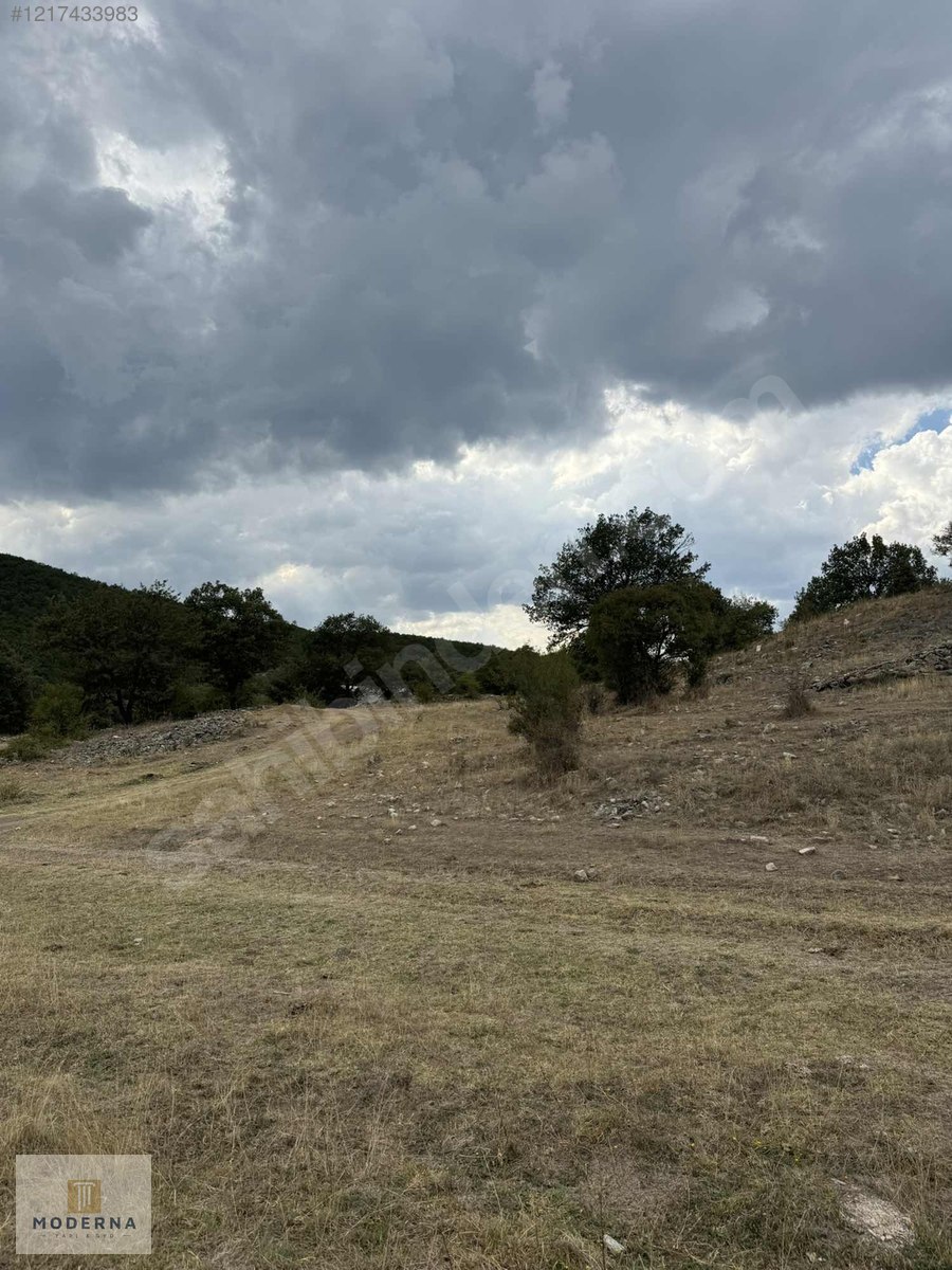 ESKİŞEHİR YAPILDAK YAYLASINDA MANZARALI 1.505 M2 TEK TAPU FIRSAT - ESKİŞEHİR SEYİTGAZİ fotoğraf 8
