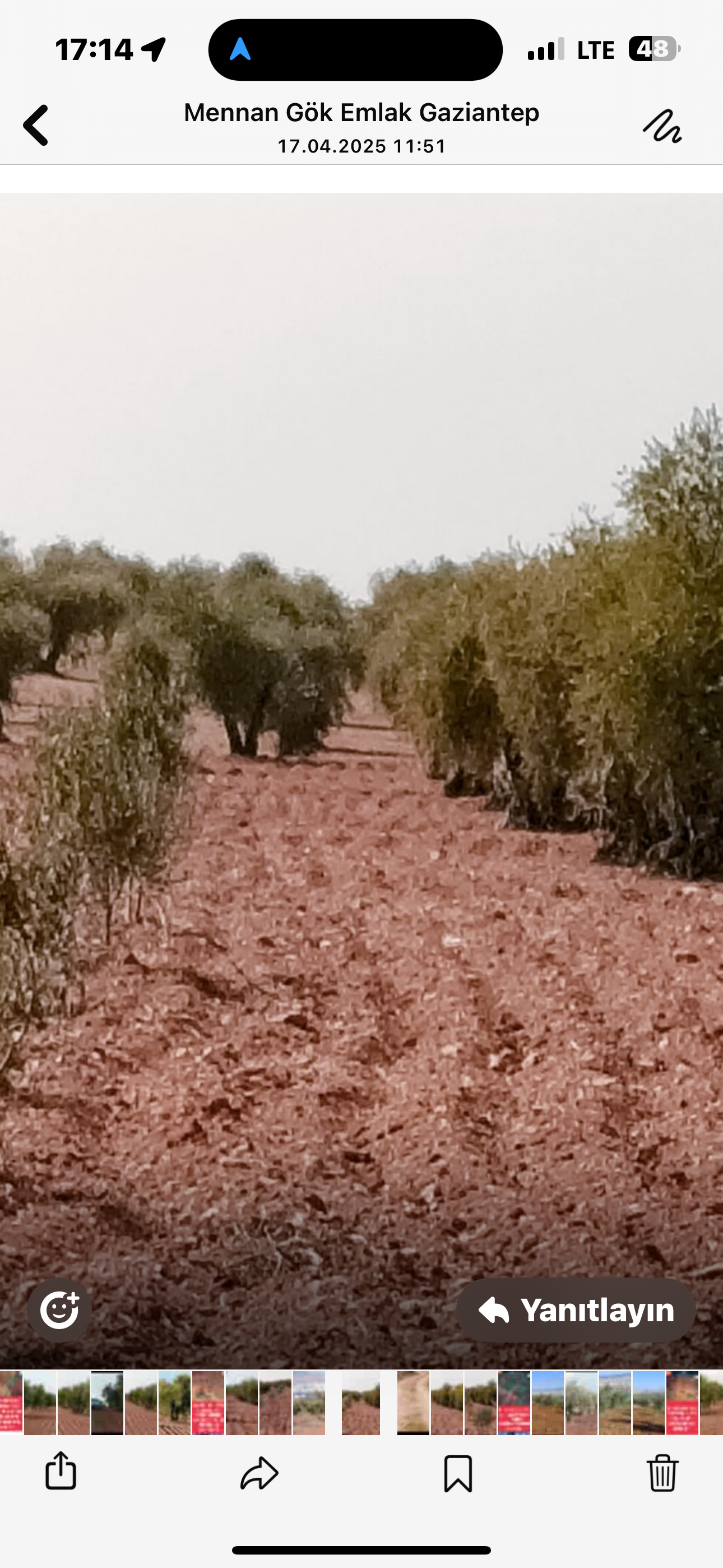 ÖZGÜRoğlu EMLAK ,tan SATILIK ZEYTİNLİK  - KİLİS MERKEZ fotoğraf 4