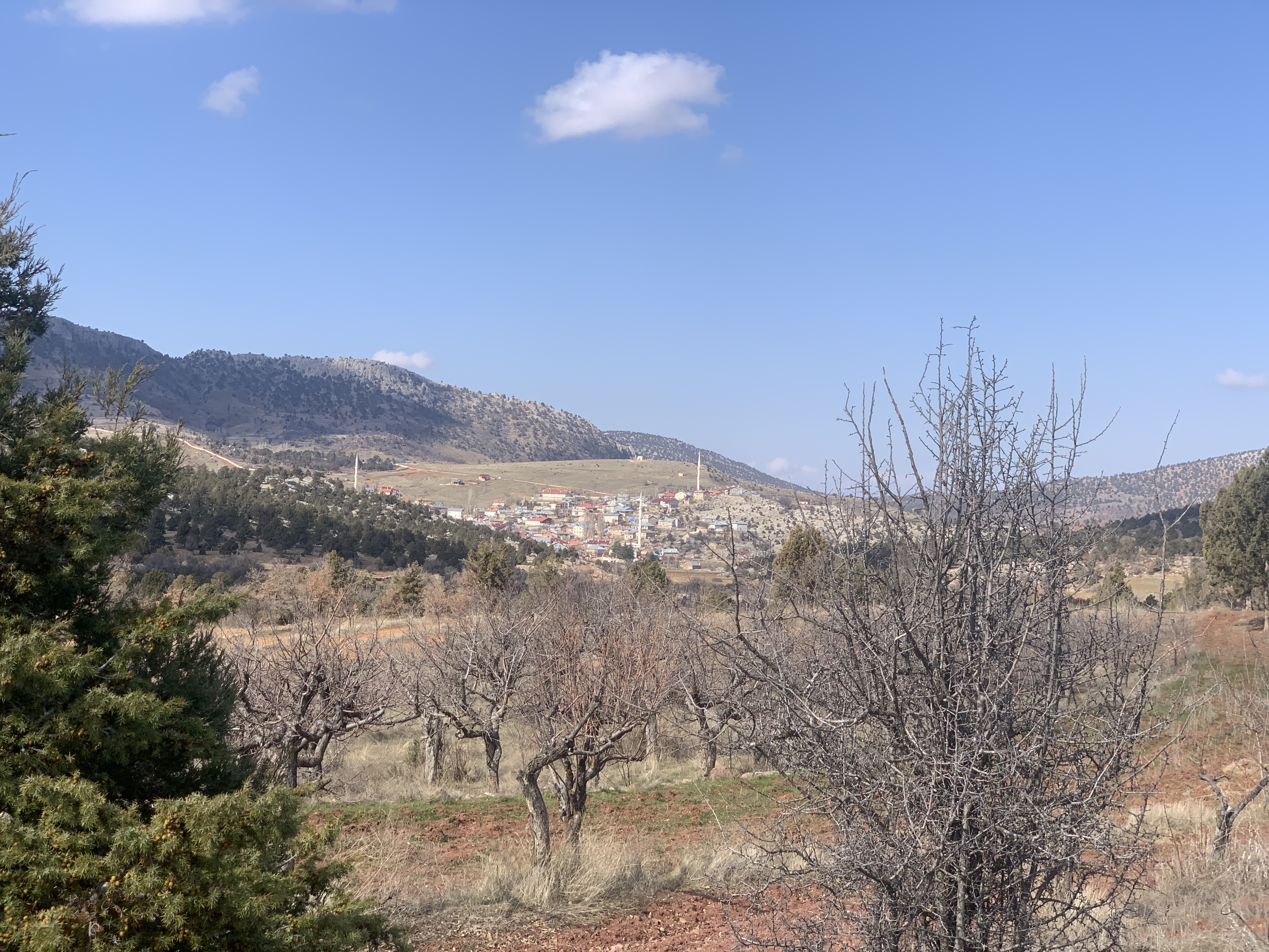 KONYA BOZKIR HACILAR KÖYÜNDE 39M² TARLAMIZ SATILIKTIR. - KONYA BOZKIR fotoğraf 26