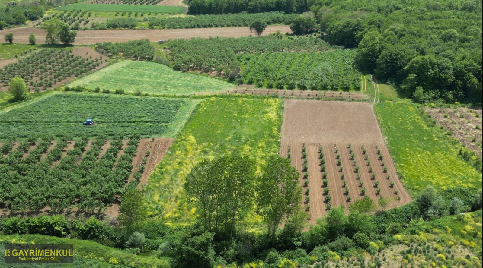 YATIRIM FIRSATI 3.962 M² TARLA FERİZLİ SARIAHMETLER MAH. - SAKARYA FERİZLİ fotoğraf 31
