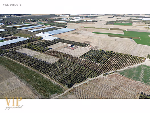 VİP GAYRİMENKUL'den BAYRALAR MAH. 29.648 m² ELMA-ARMUT BAHÇESİ - ANTALYA ELMALI fotoğraf 4