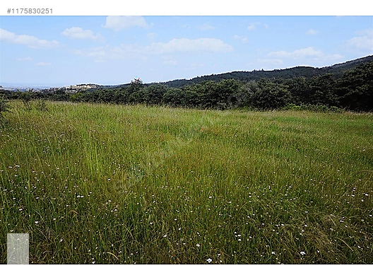 ÇANAKKALE BAYRAMİÇ MURATLAR KÖYÜ 45.000 m2 TARLA - ÇANAKKALE BAYRAMİÇ fotoğraf 34