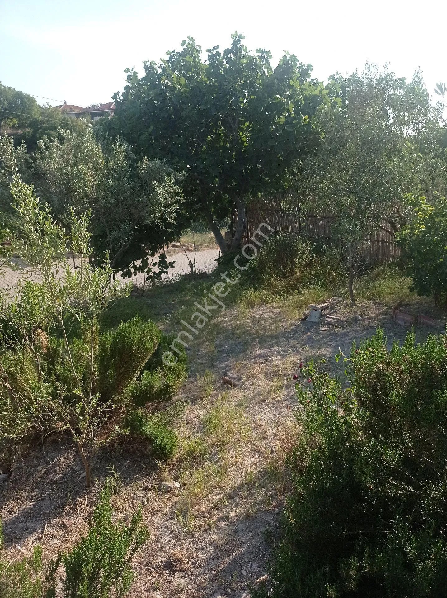 Yeliz'den Manisa Soma'da Satılık Müstakil Ev - MANİSA SOMA fotoğraf 7