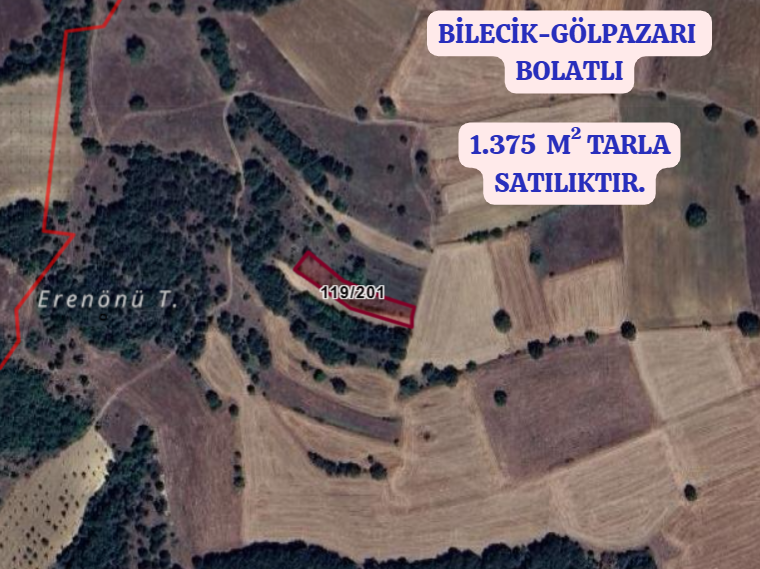 BİLECİK GÖLPAZARI BOLATLI  KÖYÜNDE 1.375  M² TARLA   SATILIKTIR - BİLECİK GÖLPAZARI fotoğraf 2