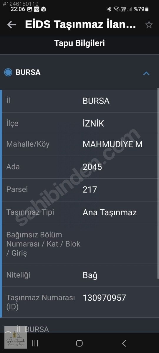 İZNİK MAHMUDİYE BAKİMLİ ZEYTİNLİK 1700 MT - BURSA İZNİK fotoğraf 7