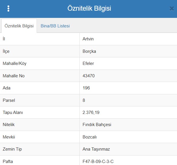 ARTVİN BORÇKA EFELER  KÖYÜ’NDE 2.376 M² FINDIK BAHÇESİ SATILIKTIR - ARTVİN BORÇKA fotoğraf 5