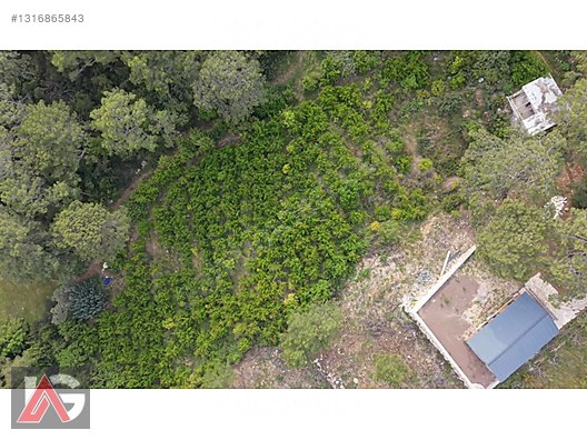 Doğanın İçinde, Deniz Gören, Elektrik ve Suyu Hazır Fırsat Arazi - ANTALYA KUMLUCA fotoğraf 20