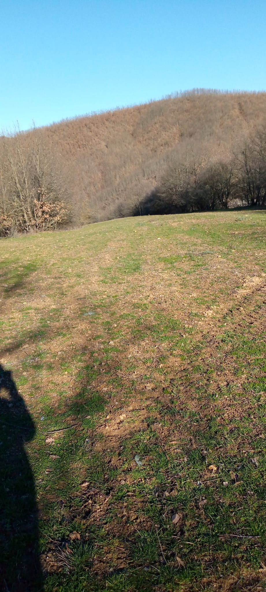 Bilecik Pazaryeri Karadede köyünde 5522 m2 Arsa - BİLECİK PAZARYERİ fotoğraf 8