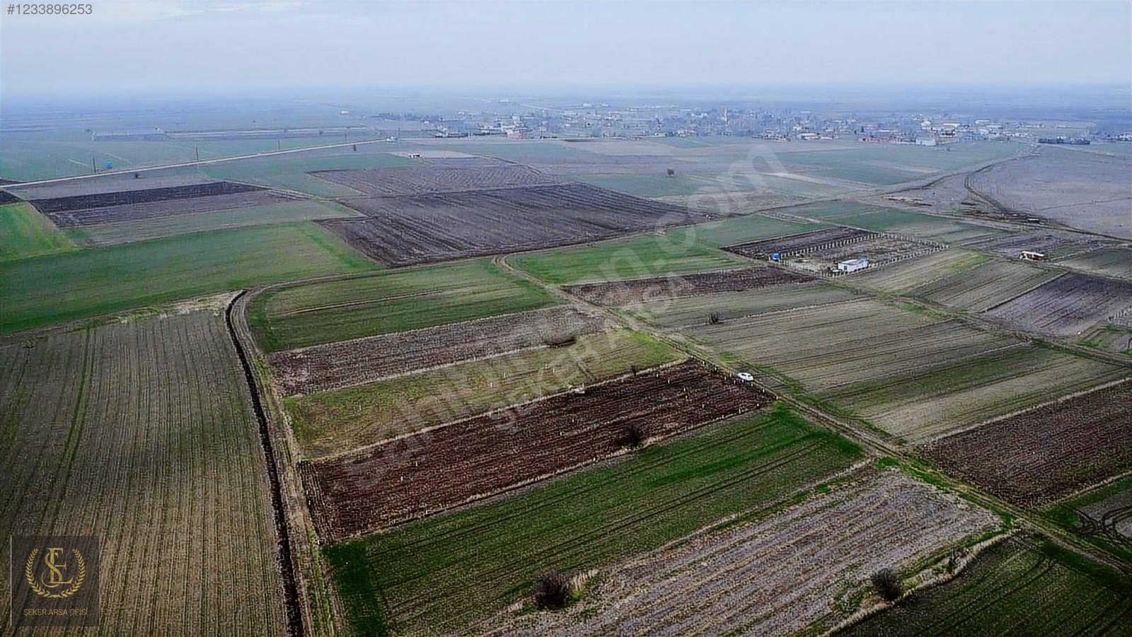 Tekirdağ saray Kadiköy bağ yeri - TEKİRDAĞ SARAY fotoğraf 5