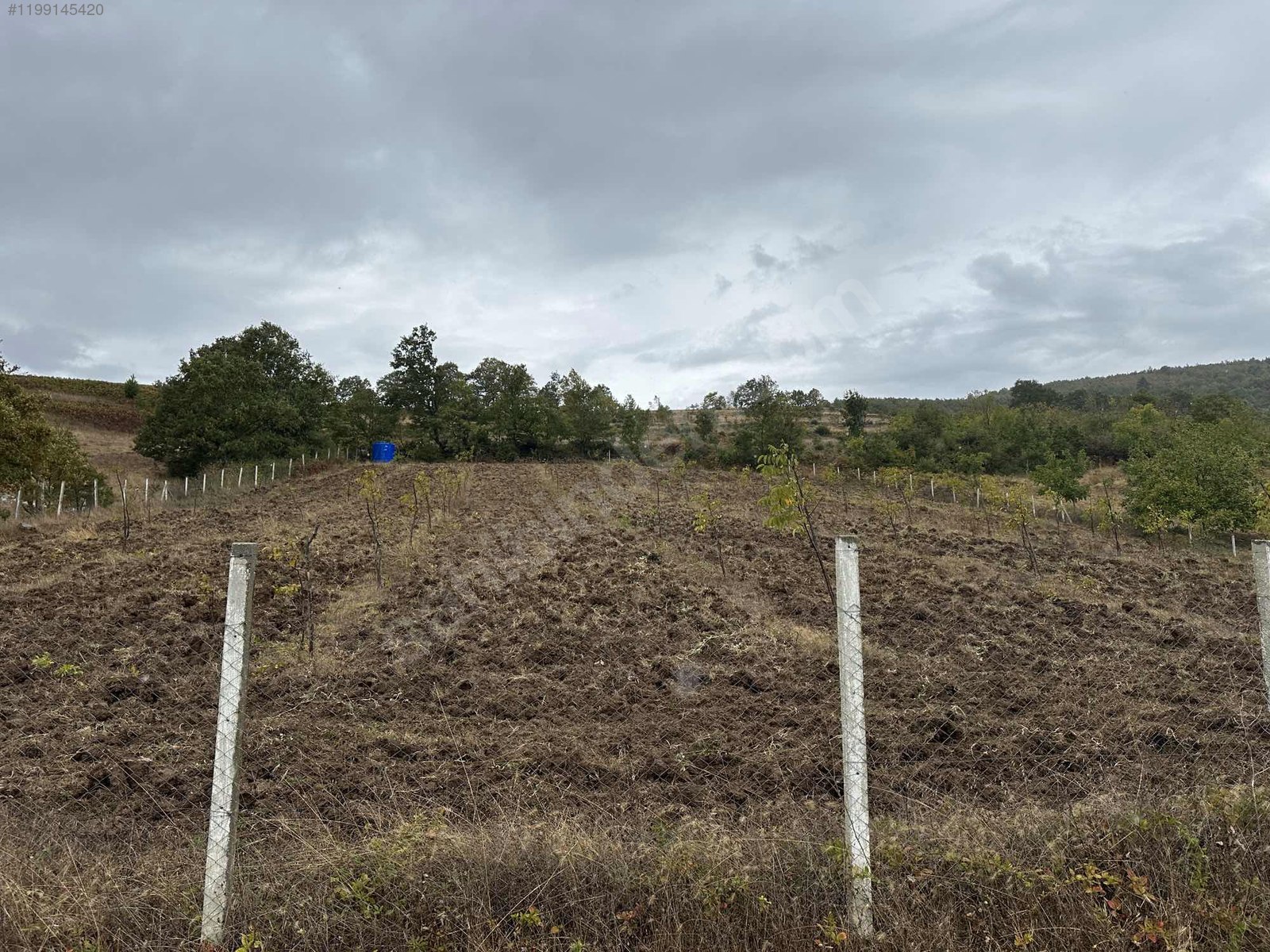 BURSA İZNİK SÜLEYMANİYE'DE  6.000 M² BAHÇEMİZ SATILIKTIR - BURSA İZNİK fotoğraf 2