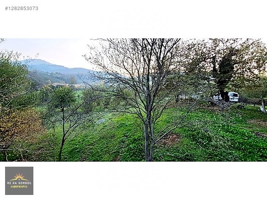 SAKARYA-KARAPÜRÇEK-MESUDİYE MAHALLE MERKEZİNDE SATILIK TARLA - SAKARYA KARAPÜRÇEK fotoğraf 7