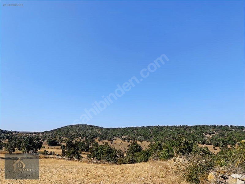 YOK BÖYLE FİYAT!! 45.321 M2 DURSUNBEY/KARAMANLARDA FIRSAT ARAZİ - BALIKESİR DURSUNBEY fotoğraf 7