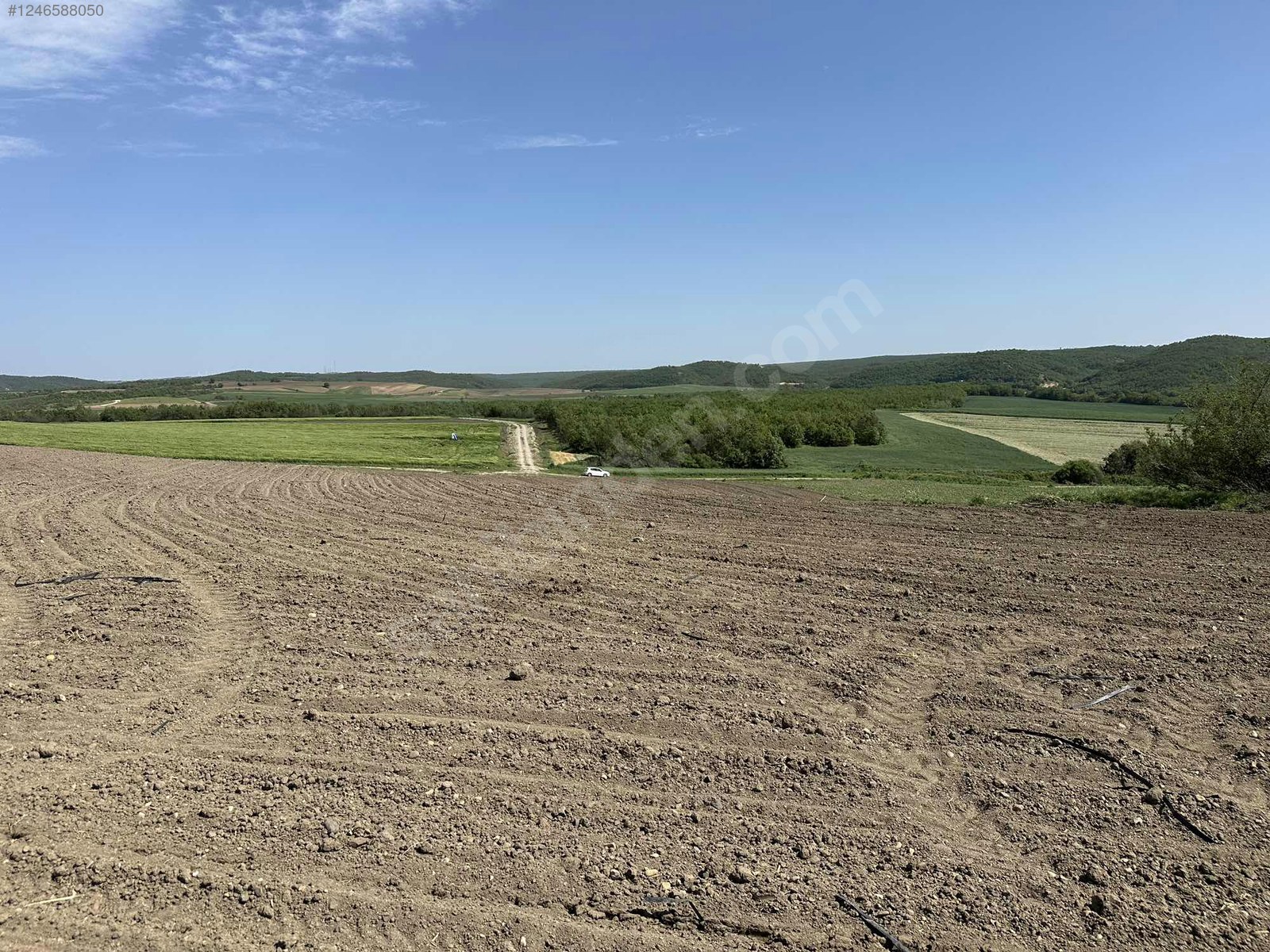 EDİRNE UZUNKÖPRÜ DEREKÖY  KÖYÜNDE 4.298 M² TARLA SATILIKTIR - EDİRNE UZUNKÖPRÜ fotoğraf 4