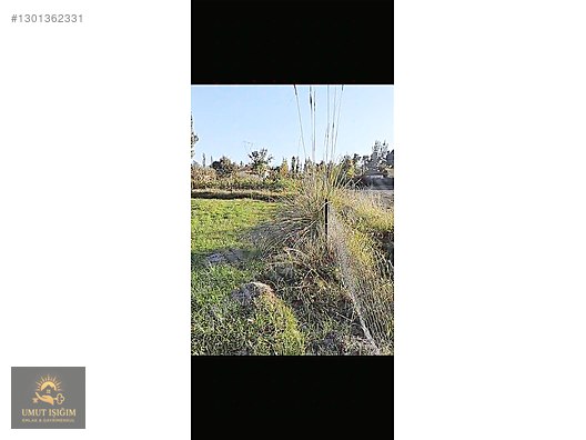 KÖYCEĞİZ YANGIDA SATILIK TARLA - MUĞLA KÖYCEĞİZ fotoğraf 2