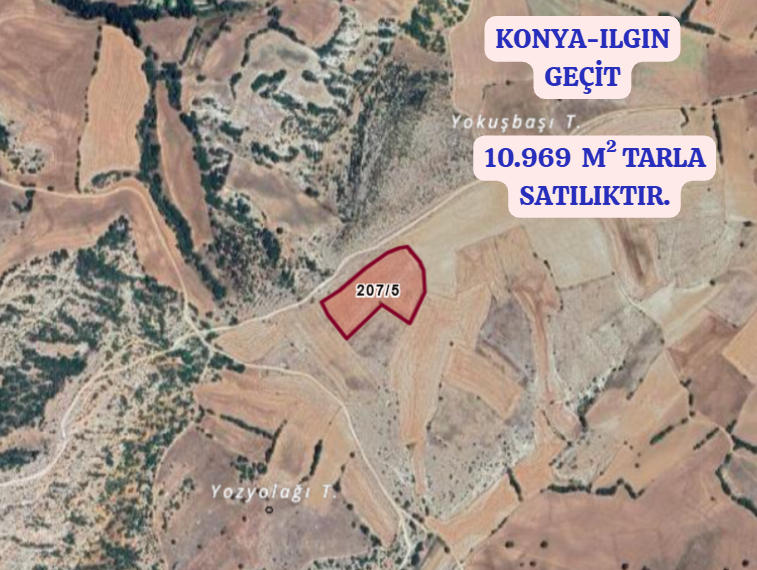 KONYA ILGIN GEÇİT  KÖYÜNDE 10.969   M² TARLA  SATILIKTIR - KONYA ILGIN fotoğraf 2