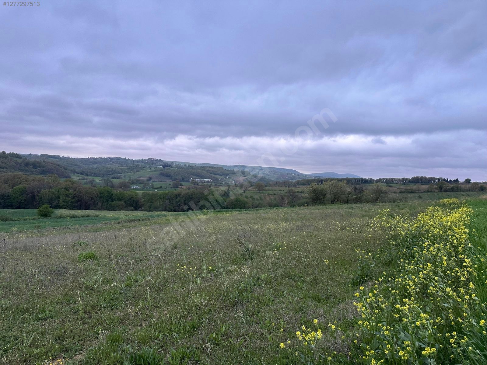 KOCAELİ İZMİT DÜĞMECİLER  KÖYÜNDE 1.348 M²  TARLA  SATILIKTIR - KOCAELİ İZMİT fotoğraf 5