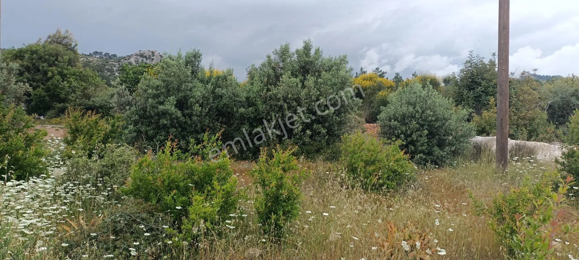 Kumluca Yenicepınar Da Deniz Manzaralı Satılık Arsa-tarla - ANTALYA KUMLUCA fotoğraf 28