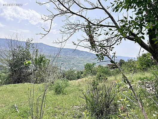   Karaman / Ermenek / Yalındal Köyü 809M² BAHÇE SATILIKTIR.  - KARAMAN ERMENEK fotoğraf 8
