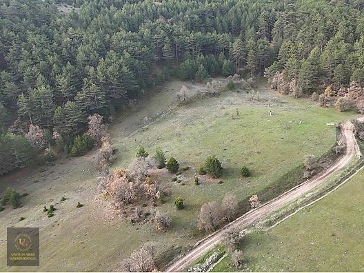 BOLU MUDURNU'DA OTELLER BÖLGESİNDE 7.965M2 UYGUN ARSA - BOLU MUDURNU fotoğraf 18