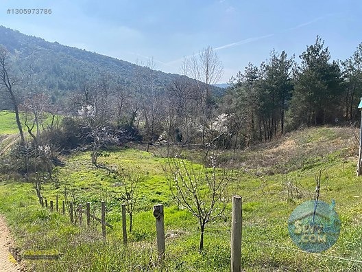 YENİ ŞEHİR OTOBANA 400 METRE HOBİ BAHÇESİ 1000M2 - BURSA YENİŞEHİR fotoğraf 9