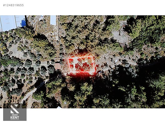 Kemalpaşa Armutlu Satılık 300 m2 Bahçe Tek Tapu - İZMİR KEMALPAŞA fotoğraf 14