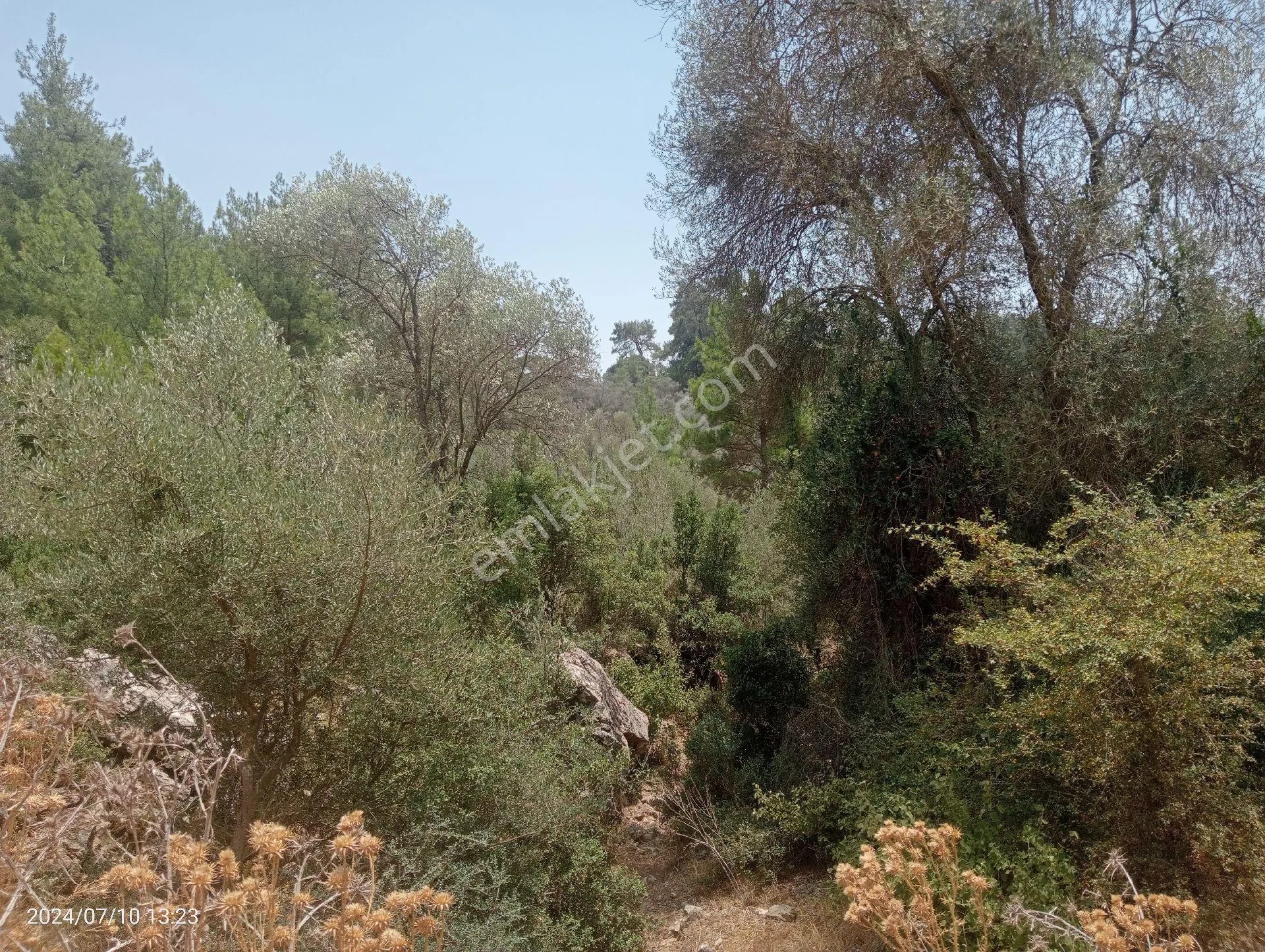 Antalya Kumluca Orta Köyde Satılık Tarla İnceoğlu Emlak - ANTALYA KUMLUCA fotoğraf 5