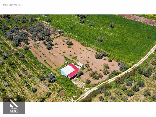 Kemalpaşa Halilbeylide Satılık 3000 m2 Bahçe 40 m2 Ev - İZMİR KEMALPAŞA fotoğraf 3