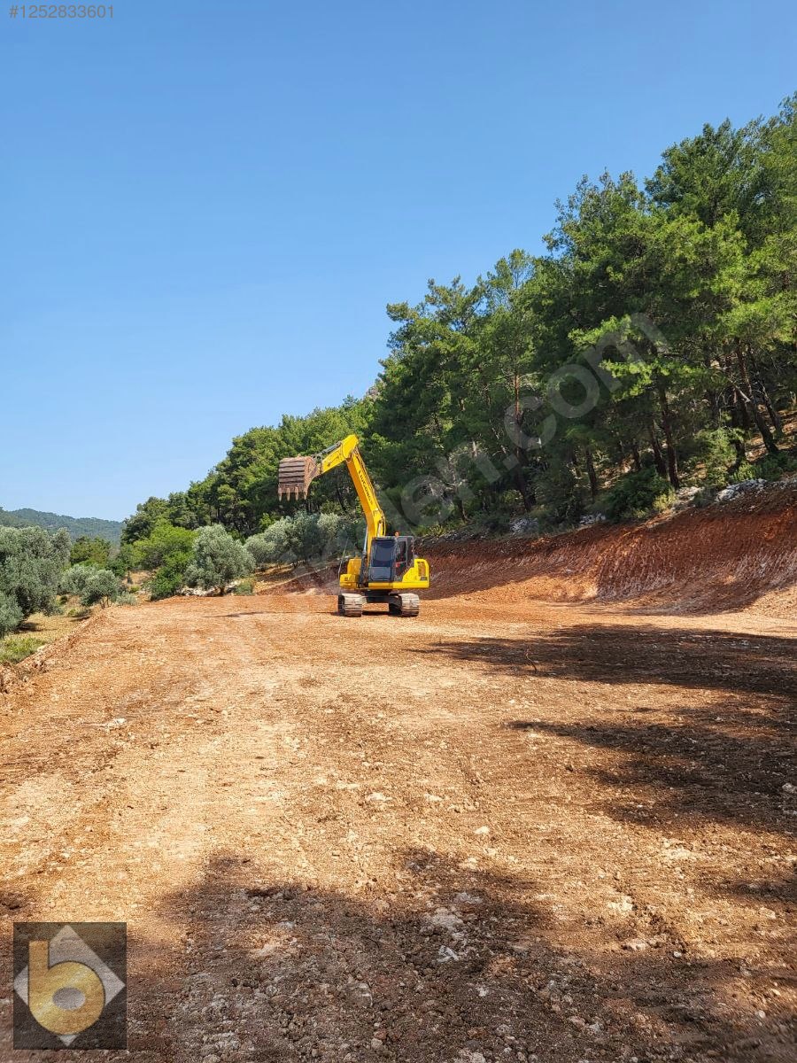 İlan Resmi