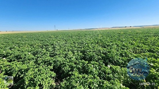 🚨 KÜTAHYA'DA ANAYOLA CEPHELİ 6.152 M² VERİMLİ TARLA 🚨 - KÜTAHYA MERKEZ fotoğraf 26