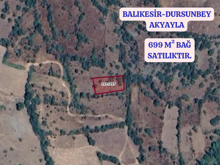 BALIKESİR DURSUNBEY AKYAYLA  KÖYÜNDE  699  M²  BAĞ  SATILIKTIR - BALIKESİR DURSUNBEY fotoğraf 2