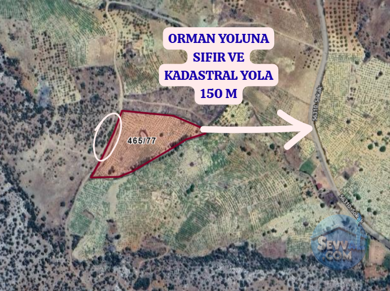 KONYA BOZKIR HAMZALAR  KÖYÜNDE 8.925 M²  BAĞ  SATILIKTIR - KONYA BOZKIR fotoğraf 3
