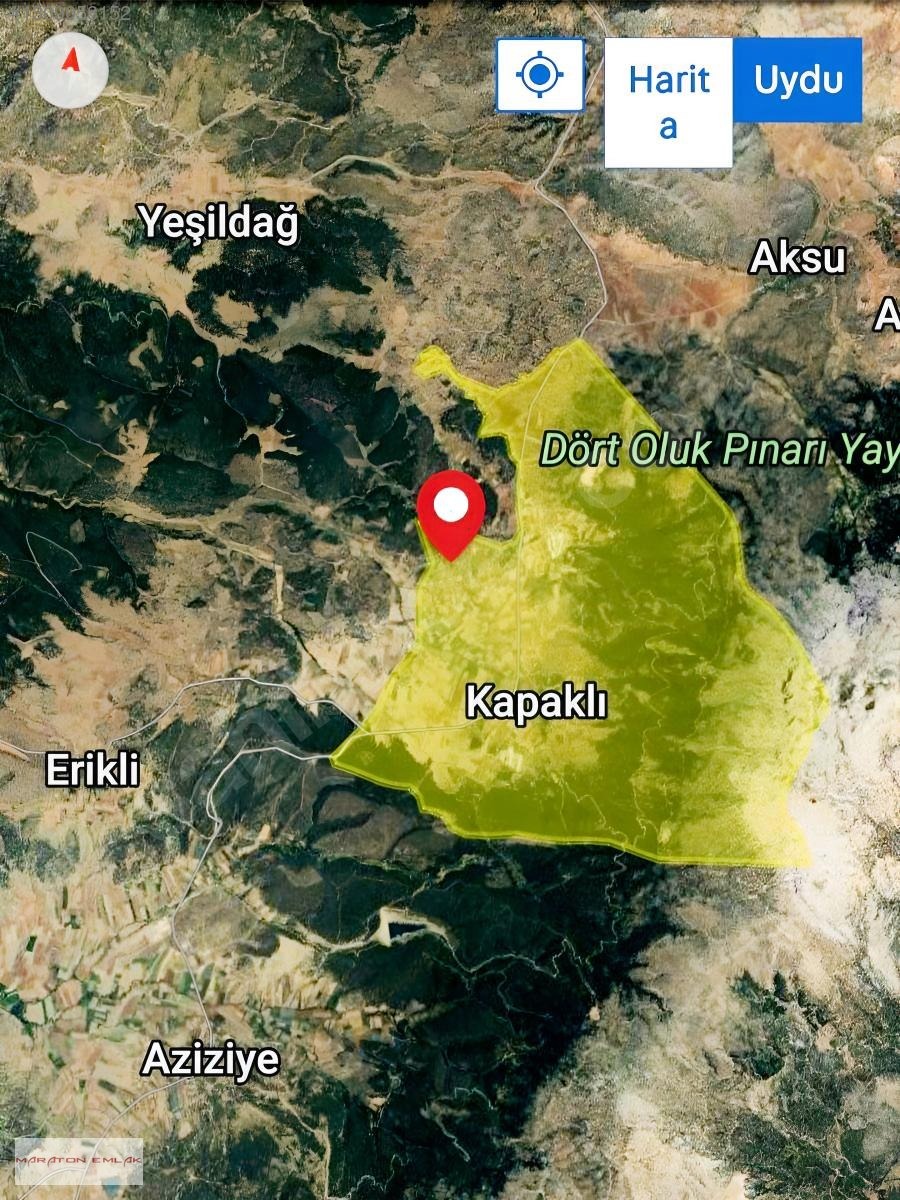 BURDUR MERKEZ KAPAKLI KÖYÜNDE İÇİNDE 20 30 ADET ARDIÇ AĞAÇLARI - BURDUR MERKEZ fotoğraf 4