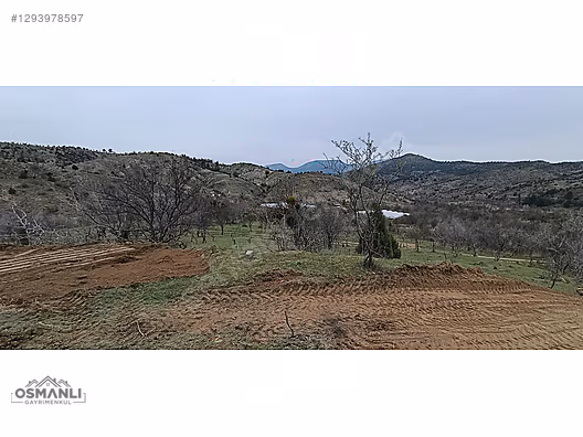 TELEFON FİYATINA ARAZİ VERİYORUZ, 409 M2,RESMİ YOLU VE SUYU VAR! - BİLECİK SÖĞÜT fotoğraf 3