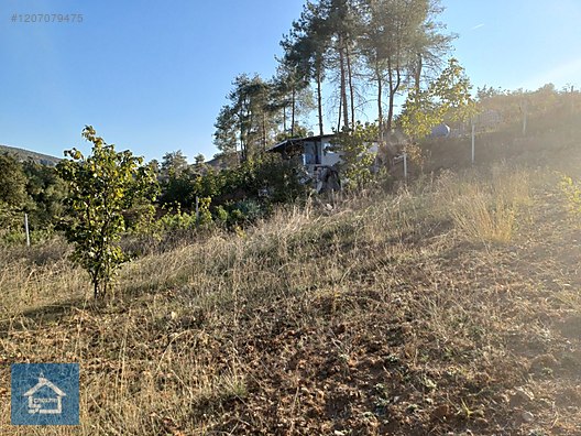 ÇAĞLAR'DAN TOPRAKDERE DE 823m2 MÜSTAKİL TARLA YOL+SU VAR - BURSA YENİŞEHİR fotoğraf 9