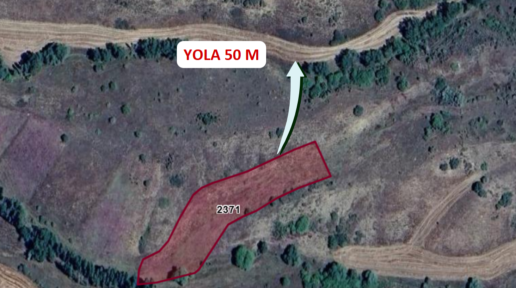 ÇORUM ALACA İMAT KÖYÜNDE 3.800 M² TARLA SATILIKTIR. - ÇORUM ALACA fotoğraf 3