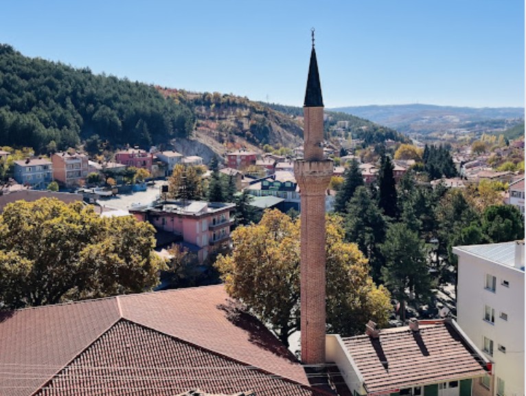 KÜTAHYA ŞAPHANE ÜÇBAŞ'DA 4.500M² KİRAZ/ VİŞNE TARLASI SATILIKTIR - KÜTAHYA ŞAPHANE fotoğraf 7