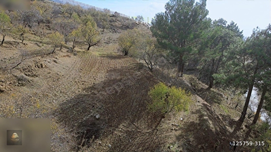 ANAMUR ÇATALOLUK SATILIK 5800 M2 TARLA - MERSİN ANAMUR fotoğraf 4