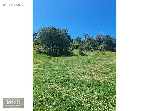 Bozüyük Baharözü'nde 1222m² Satılık Köşe Parsel Arsa - BİLECİK BOZÜYÜK fotoğraf 4