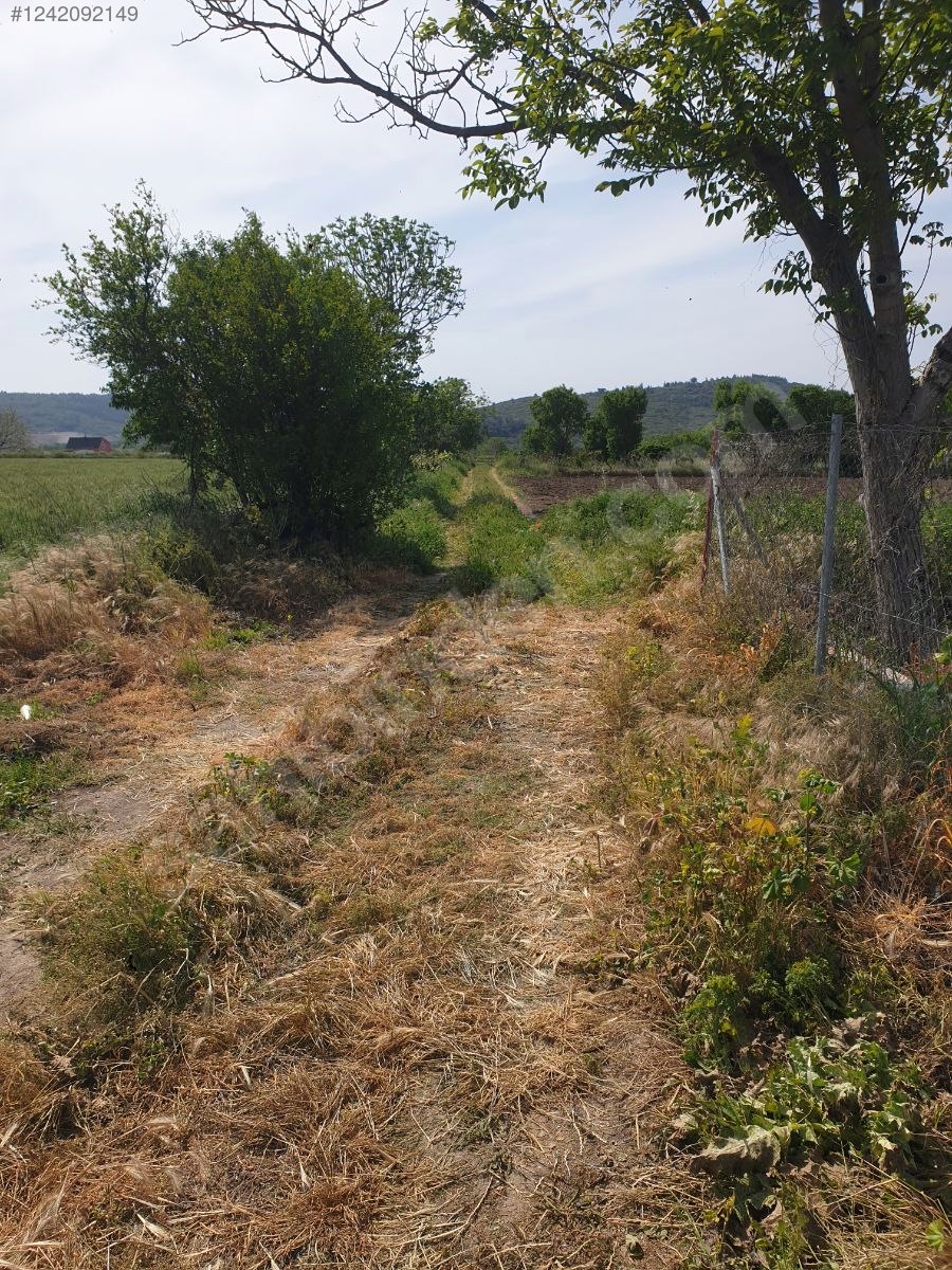 İZMİR-ALİAĞA-HAYRETTİN PAŞA  MAHALLESİ’NDEKİ TARLANIN 2.290 M²Sİ SATILIKTIR - İZMİR ALİAĞA fotoğraf 9