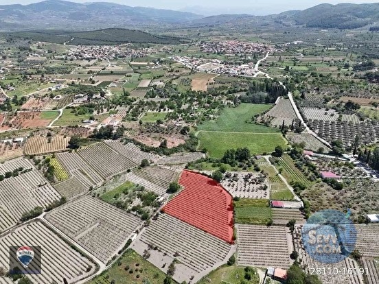 KUŞADASI KİRAZLI da SATILIK ÜZÜM BAĞI ANA YOLA YAKIN - AYDIN KUŞADASI fotoğraf 11